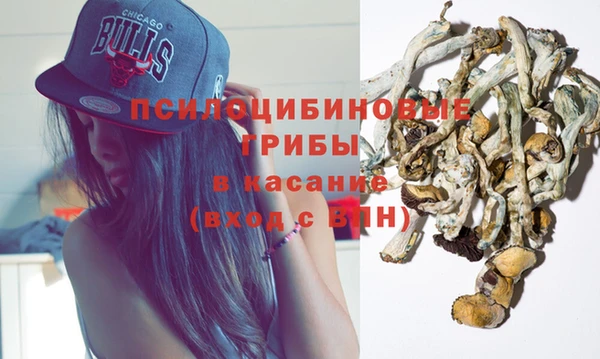 ПСИЛОЦИБИНОВЫЕ ГРИБЫ Нягань