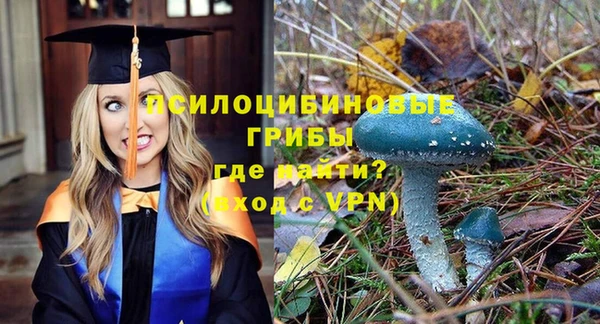 jwh Новокубанск