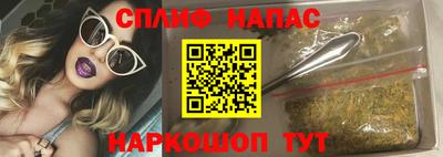 дживик Кингисепп