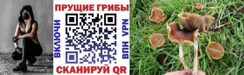 Галлюциногенные грибы мухоморы  Клин 