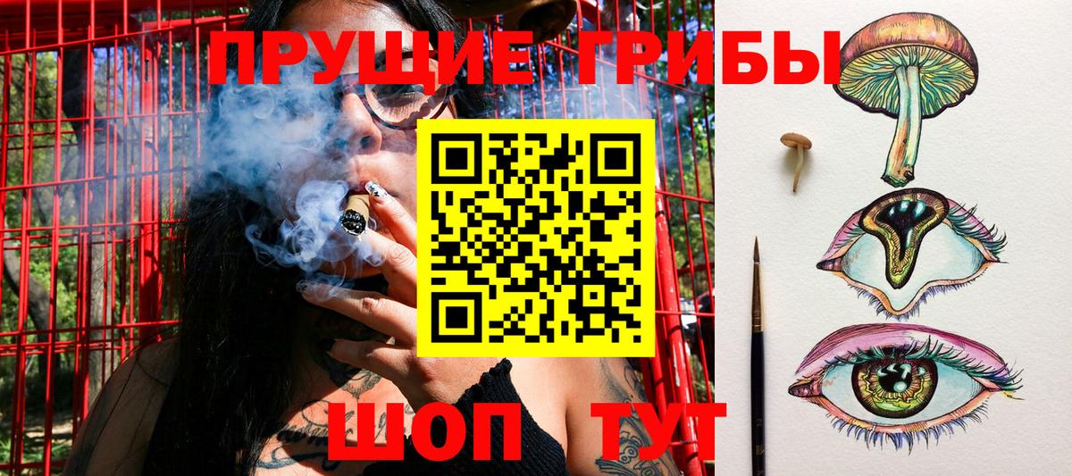 наркота  Клин  Галлюциногенные грибы GOLDEN TEACHER 