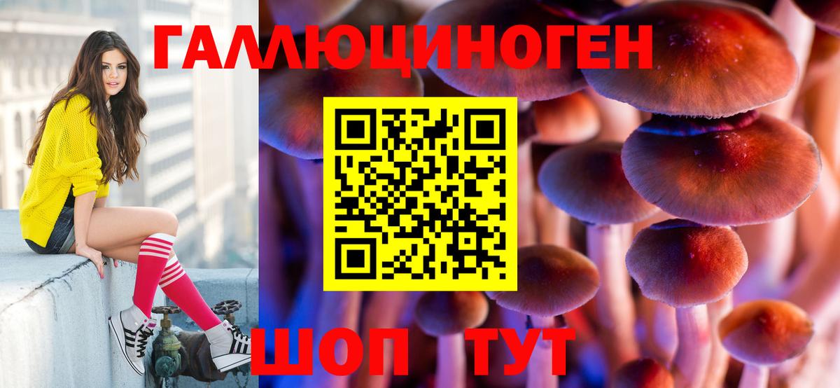 Псилоцибиновые грибы GOLDEN TEACHER Клин