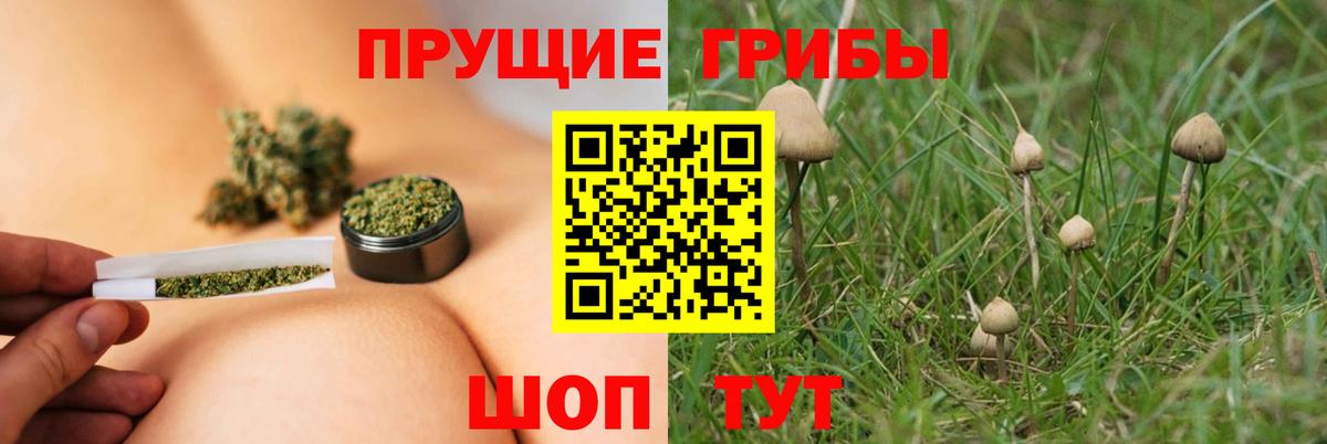 Клин  Галлюциногенные грибы Psilocybe  Вход с VPN 
